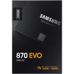 Samsung 870 EVO 250 Go 2,5"